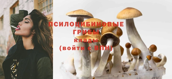 амфетамин Нея