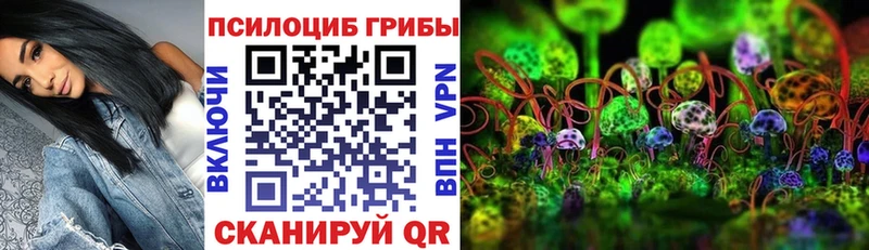 Псилоцибиновые грибы Psilocybine cubensis  Поворино 